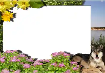 Fotoefect din categoria Diverse № 159462