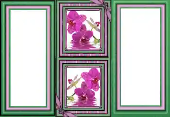 Fotoefect din categoria Diverse № 160589