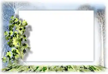Fotoefect din categoria Diverse № 160744