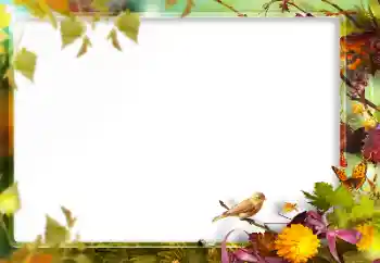 Fotoefect din categoria Diverse № 160773