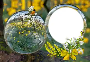 Fotoefect din categoria Diverse № 163601