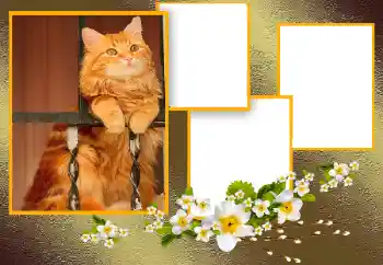 Fotoefect din categoria Diverse № 166093