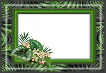 Fotoefect din categoria Diverse № 166640 Fotoefect din categoria Diverse № 166640