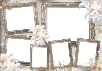 Fotoefect din categoria Diverse № 169031