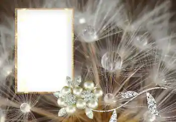 Fotoefect din categoria Diverse № 169101