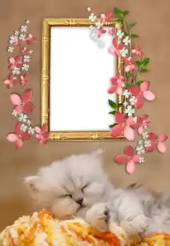 Fotoefect din categoria Diverse № 169232