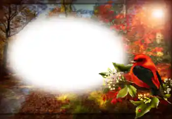 Fotoefect din categoria Diverse № 170400