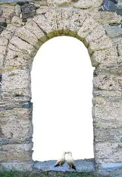 Fotoefect din categoria Diverse № 171681