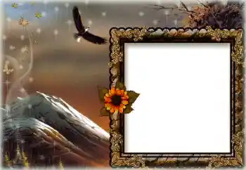 Fotoefect din categoria Diverse № 172844