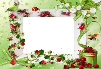 Fotoefect din categoria Diverse № 172917