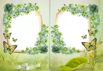 Fotoefect din categoria Diverse № 172968 Fotoefect din categoria Diverse № 172968