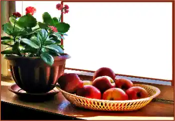 Fotoefect din categoria Diverse № 180838 Fotoefect din categoria Diverse № 180838