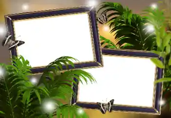 Fotoefect din categoria Diverse № 181982