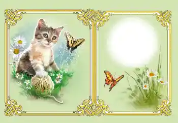 Fotoefect din categoria Diverse № 182126
