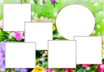 Fotoefect din categoria Diverse № 182304