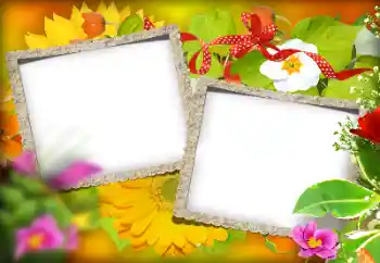 Fotoefect din categoria Diverse № 184580 Fotoefect din categoria Diverse № 184580