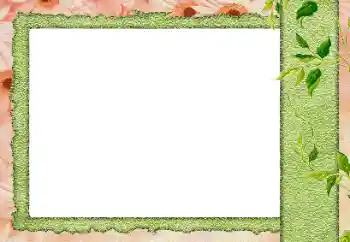 Fotoefect din categoria Diverse № 184589 Fotoefect din categoria Diverse № 184589