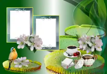 Fotoefect din categoria Diverse № 185988