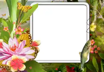 Fotoefect din categoria Diverse № 188076