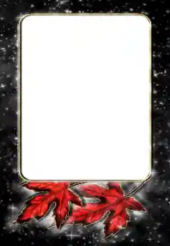 Fotoefect din categoria Diverse № 188187