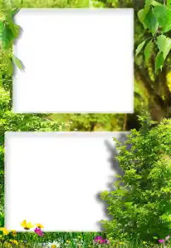 Fotoefect din categoria Diverse № 189416 Fotoefect din categoria Diverse № 189416