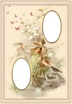 Fotoefect din categoria Diverse № 190550 Fotoefect din categoria Diverse № 190550