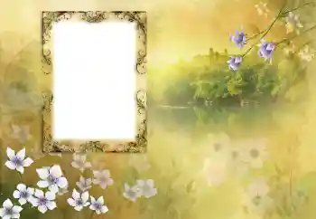 Fotoefect din categoria Diverse № 190618 Fotoefect din categoria Diverse № 190618