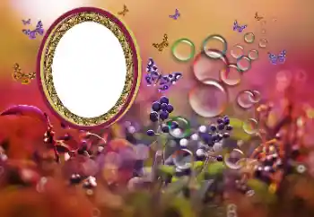 Fotoefect din categoria Diverse № 191700