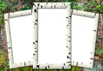Fotoefect din categoria Diverse № 195302 Fotoefect din categoria Diverse № 195302