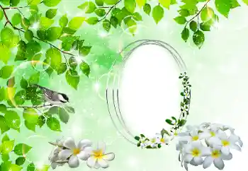 Fotoefect din categoria Diverse № 196398