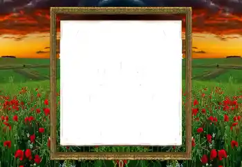 Fotoefect din categoria Diverse № 196520 Fotoefect din categoria Diverse № 196520
