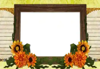 Fotoefect din categoria Diverse № 196538 Fotoefect din categoria Diverse № 196538