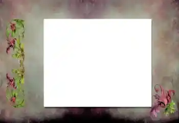 Fotoefect din categoria Diverse № 198919