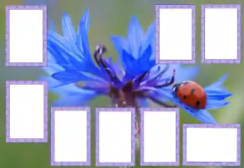 Fotoefect din categoria Diverse № 205529