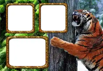 Fotoefect din categoria Diverse № 205534