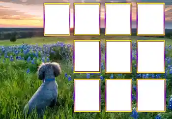 Fotoefect din categoria Diverse № 205604