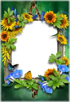 Fotoefect din categoria Diverse № 205611 Fotoefect din categoria Diverse № 205611