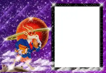Fotoefect din categoria Zodiac № 162128. Inscripție pe ramă: Capricorn