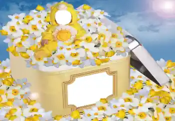Fotoefect din categoria Pentru copii № 33984