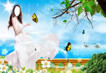 Fotoefect din categoria Pentru femei № 34978
