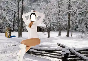 Fotoefect din categoria Pentru femei № 80410
