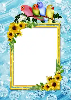 Fotoefect din categoria Album nr. 4 № 860