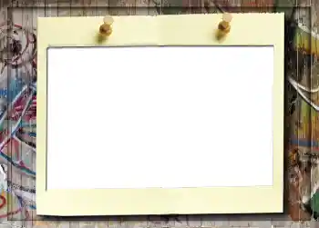 Fotoefect din categoria Album nr. 5 № 916
