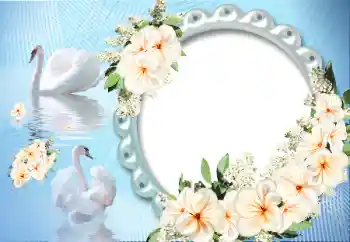 Fotoefect din categoria Rame pentru îndrăgostiți № 12891