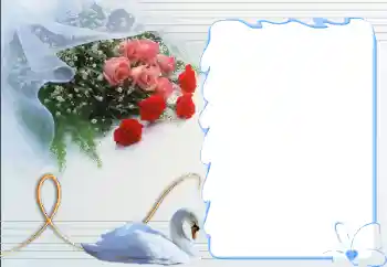 Fotoefect din categoria Rame pentru îndrăgostiți № 12892