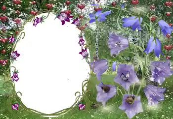 Fotoefect din categoria Rame pentru îndrăgostiți № 131799 Fotoefect din categoria Rame pentru îndrăgostiți № 131799
