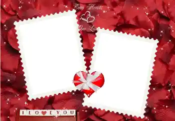 Fotoefect din categoria Rame pentru îndrăgostiți № 2224. Inscripție pe ramă: I love you!