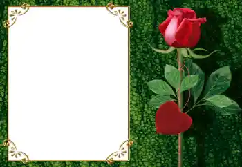 Fotoefect din categoria Rame pentru îndrăgostiți № 34006 Fotoefect din categoria Rame pentru îndrăgostiți № 34006