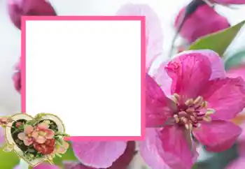 Fotoefect din categoria Rame pentru îndrăgostiți № 43593 Fotoefect din categoria Rame pentru îndrăgostiți № 43593