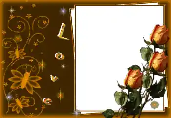 Fotoefect din categoria Rame pentru îndrăgostiți № 80301. Inscripție pe ramă: Love